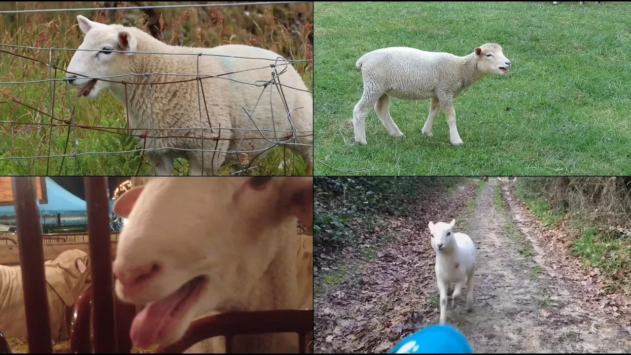 Still from Aphex Twin video remixes